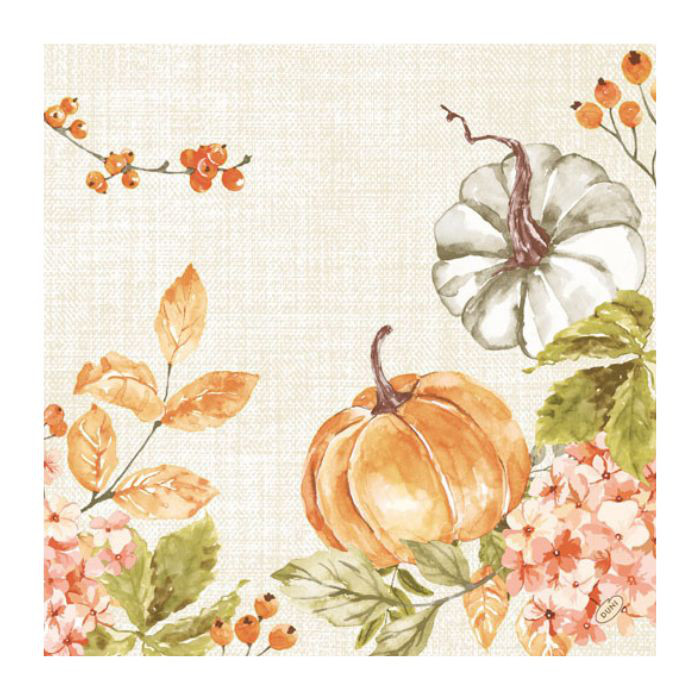 SERV BIO 40X40 SPICY PUMPK X60