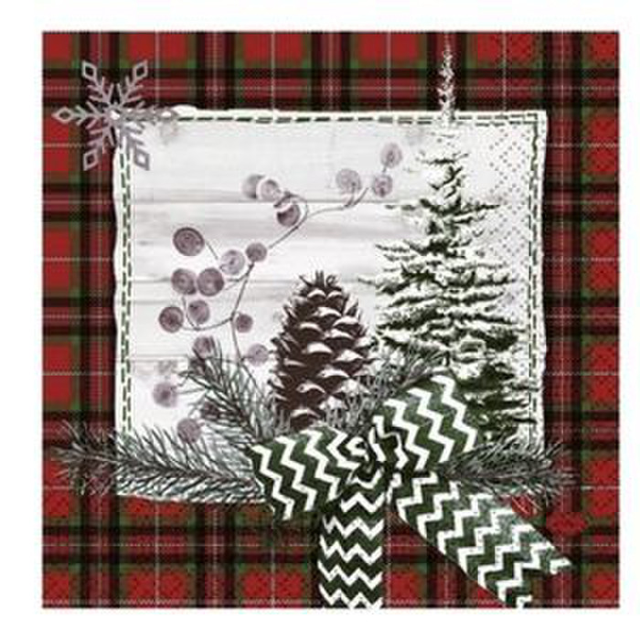 SERV 3P 33X33 NATURALLY WINTER DUNIOUATE