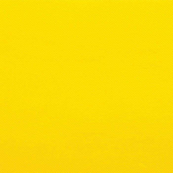 SERV MP 38X38 CITRON X50