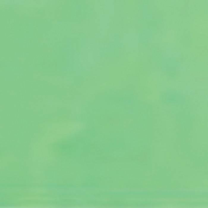 SERV 2P 20X20 PISTACHE X100