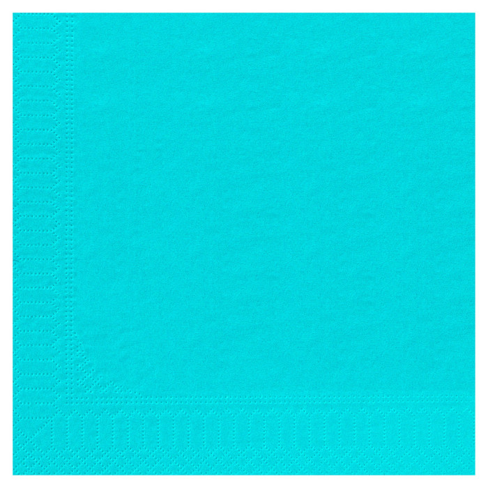 SERV 2P 30X39 TURQUOISE X100